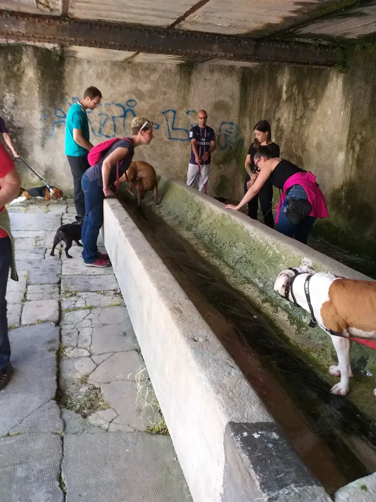Sortie éducative canine