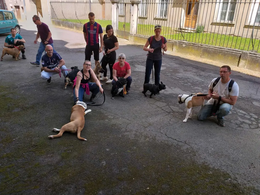 Sortie éducative canine