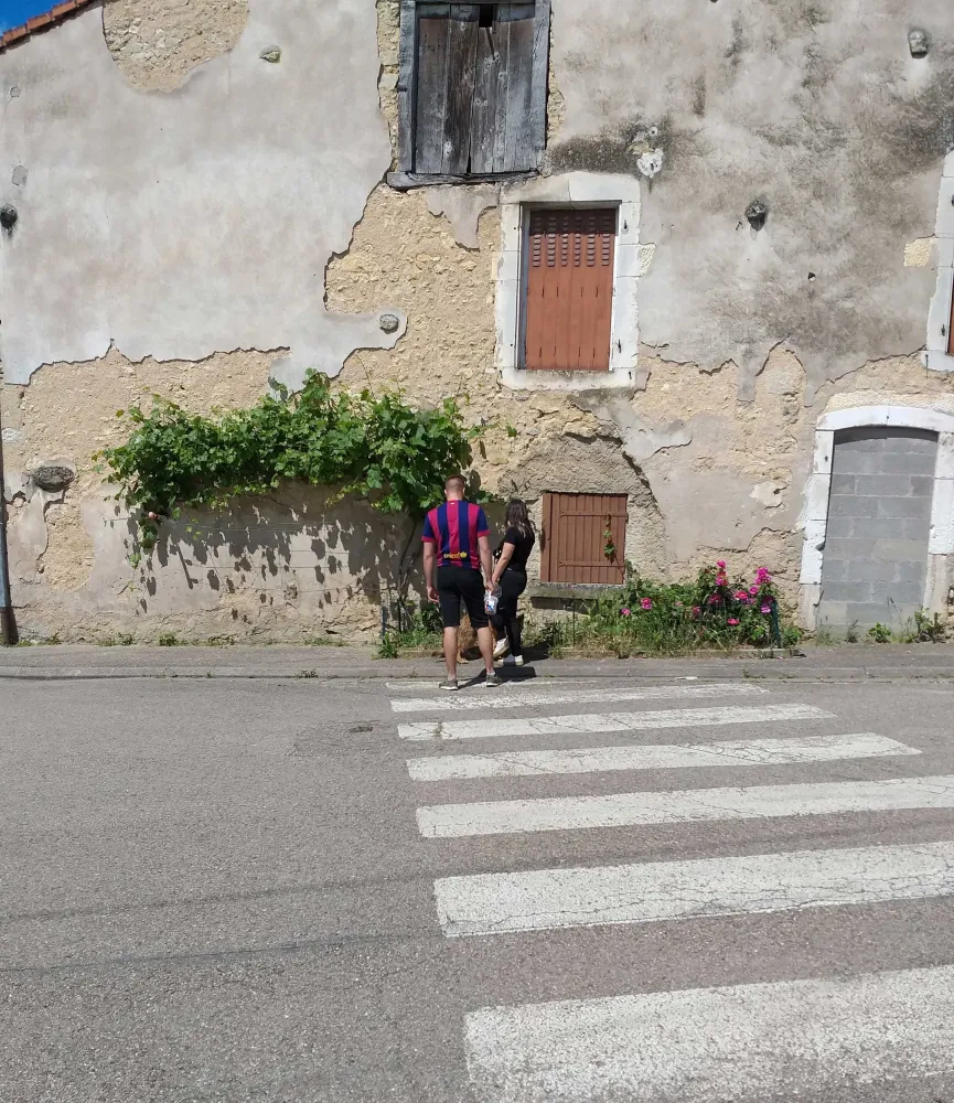 Sortie éducative canine