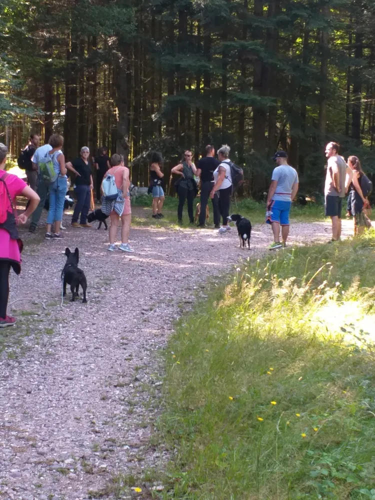 Sortie éducative canine