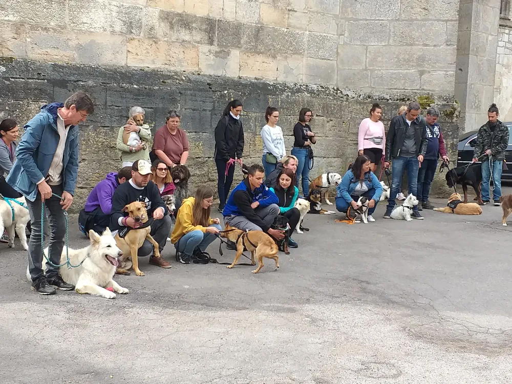 Sortie éducative canine