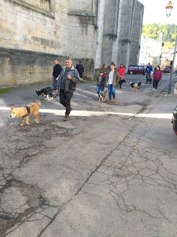 Sortie éducative canine