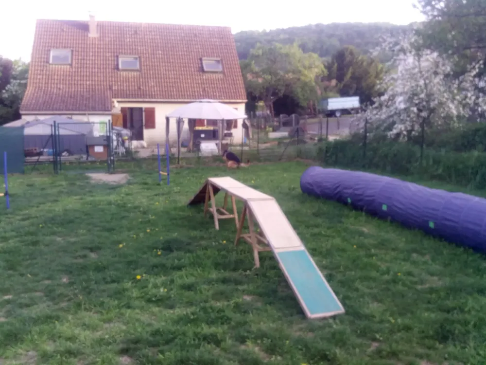 Pension pour chiens