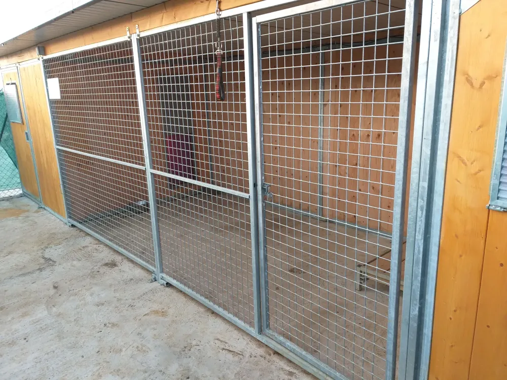 Pension pour chiens