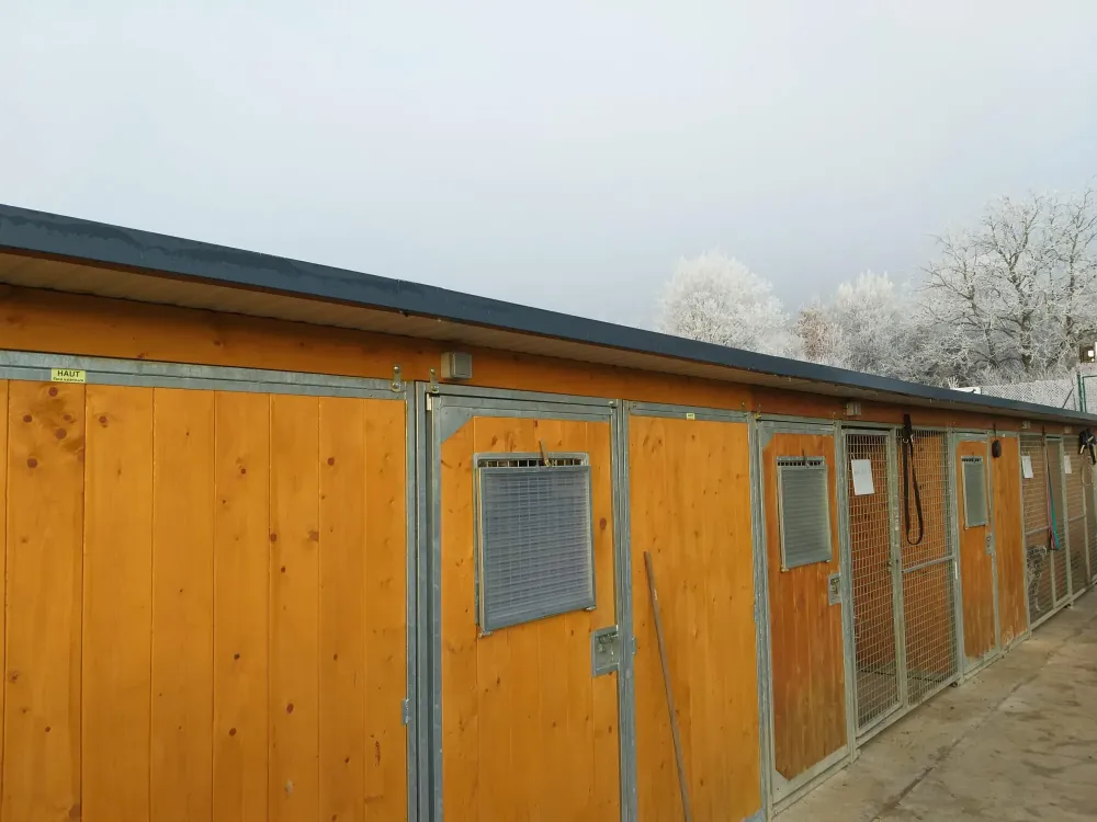 Box pension pour chien