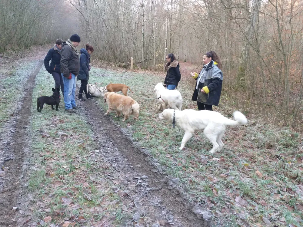 École des chiots près de Pont à Mousson