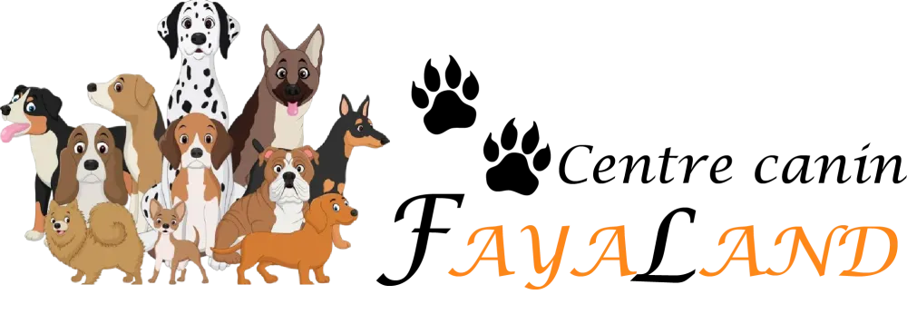 FayaLand